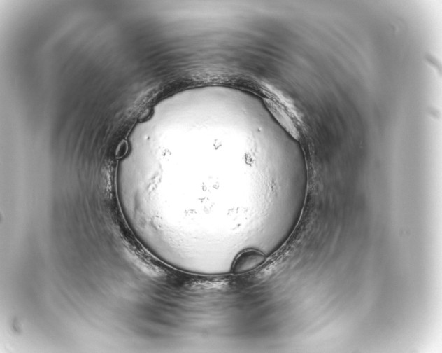 X0000093440065200711021102