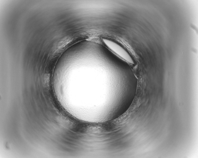 X0000093440066200711021102