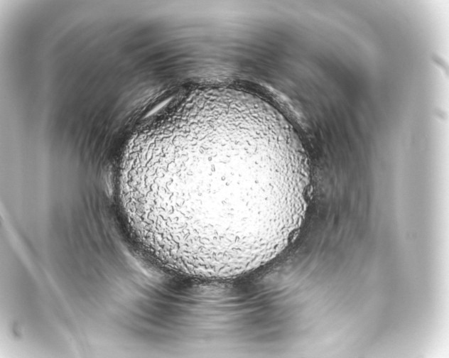 X0000093440069200711021102