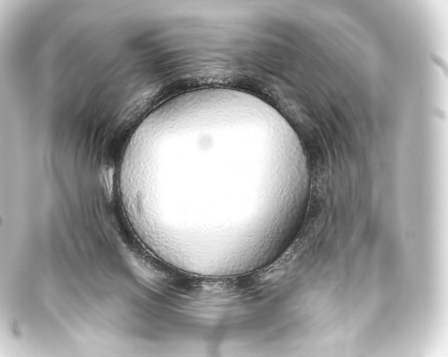 X0000093440070200711021102