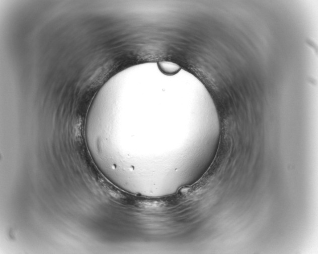 X0000093440073200711021102