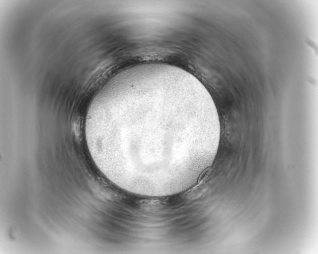 X0000093440074200711021102