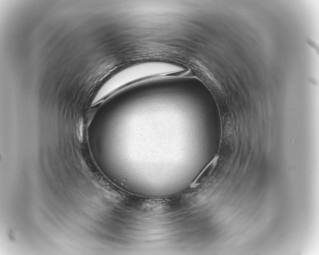 X0000093440076200711021102