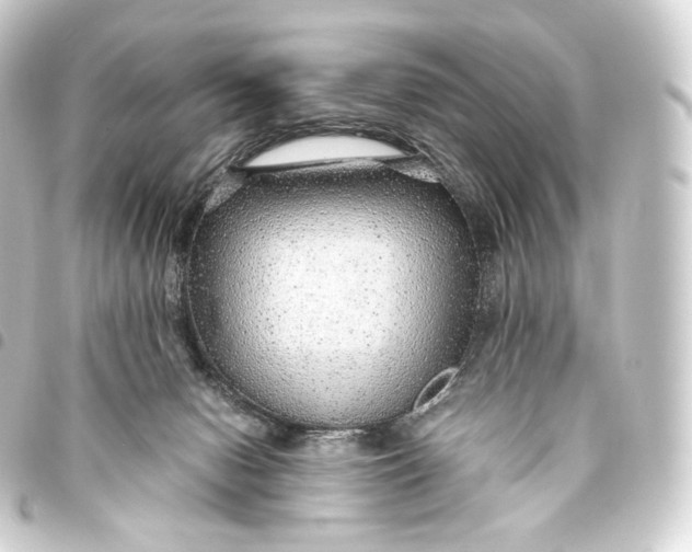 X0000093440078200711021102