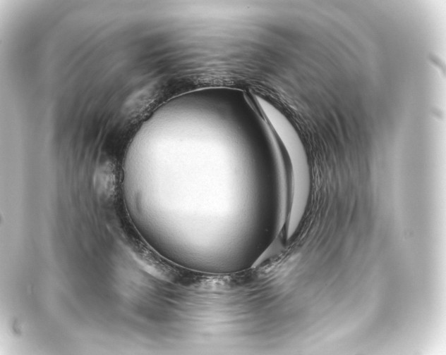 X0000093440080200711021102