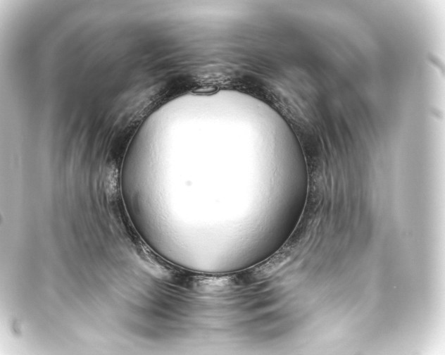 X0000093440081200711021102