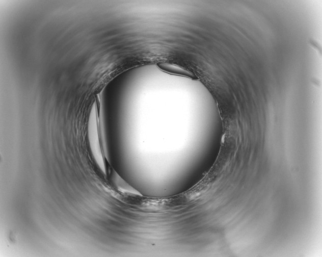 X0000093440084200711021102