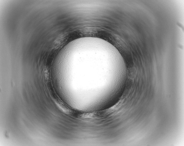 X0000093440086200711021102