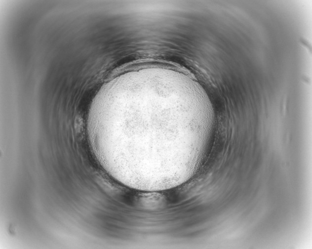 X0000093440087200711021102