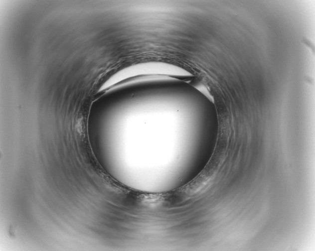 X0000093440088200711021102