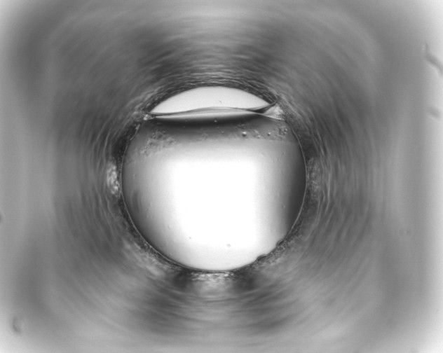 X0000093440089200711021102