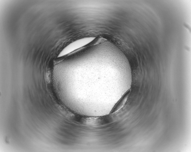 X0000093440090200711021102