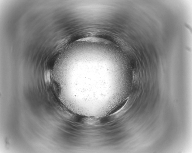 X0000093440094200711021102