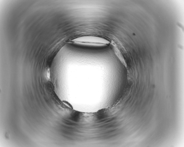 X0000093440095200711021102