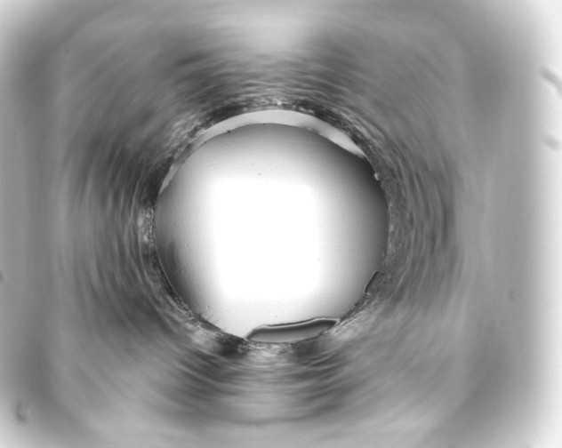 X0000093440096200711021102