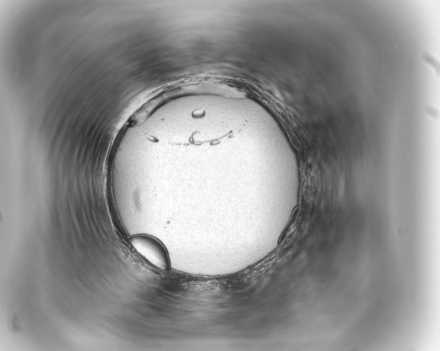 X0000093440100200711021102