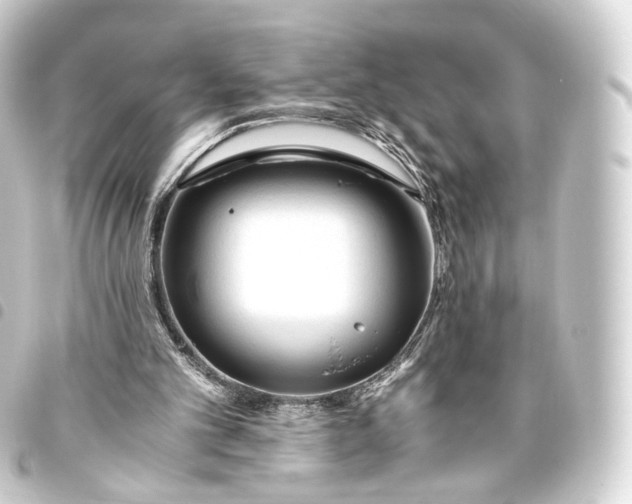 X0000093440101200711021102