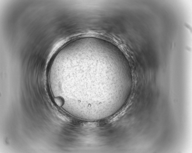 X0000093440102200711021102