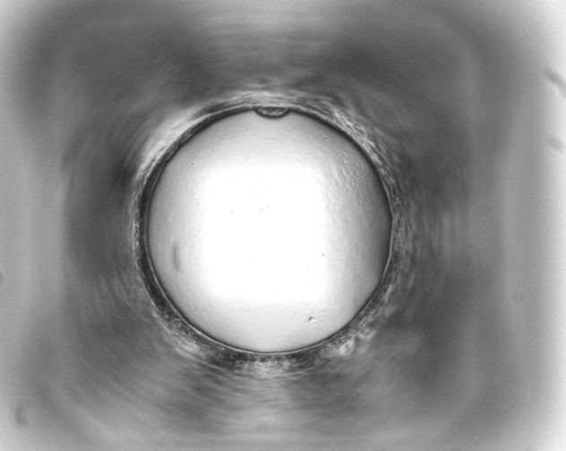 X0000093440103200711021102