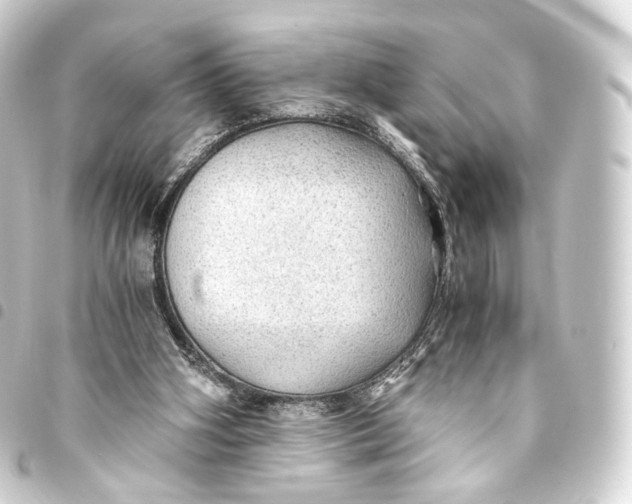 X0000093440106200711021102