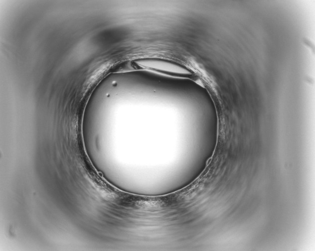 X0000093440107200711021102