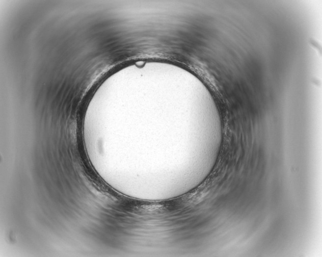 X0000093440108200711021102