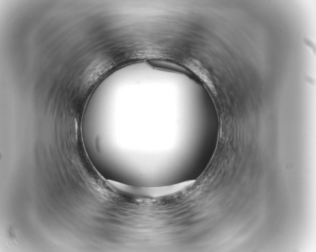 X0000093440109200711021102