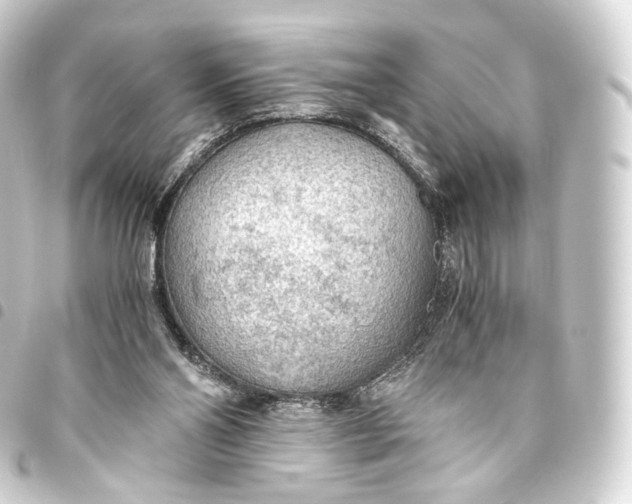 X0000093440110200711021102