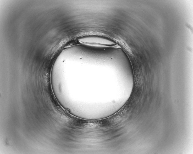 X0000093440111200711021102