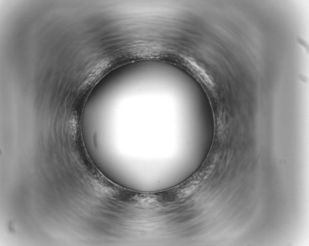 X0000093440113200711021101