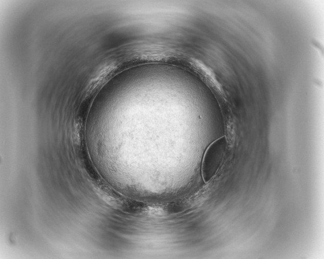 X0000093440114200711021101