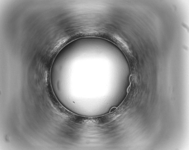 X0000093440115200711021101