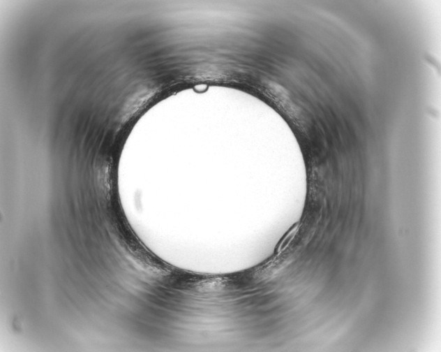 X0000093440116200711021101