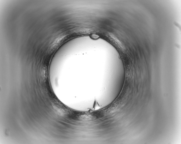 X0000093440119200711021101