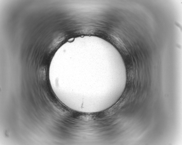 X0000093440120200711021101