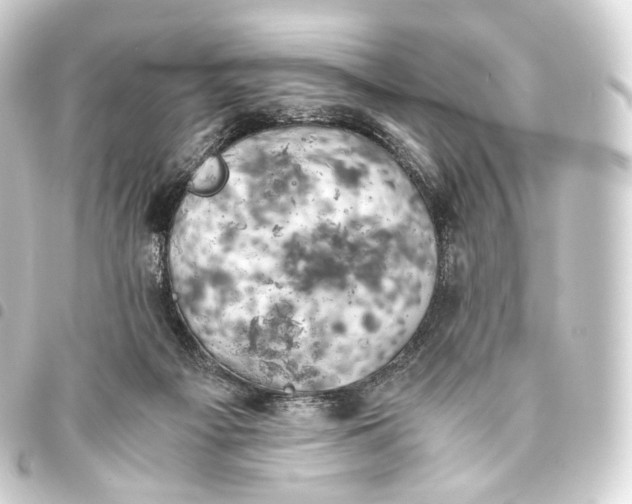 X0000093440121200711021101