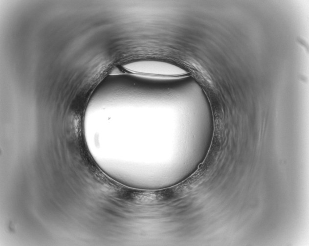 X0000093440123200711021101