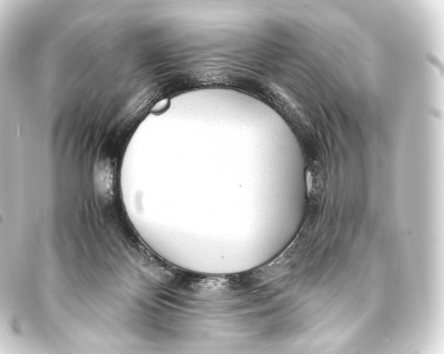 X0000093440124200711021101