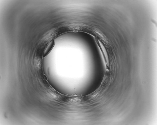 X0000093440125200711021101