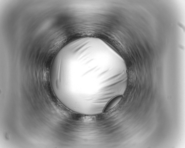 X0000093440126200711021101