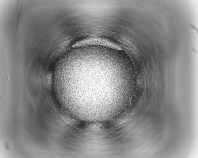 X0000093440127200711021101