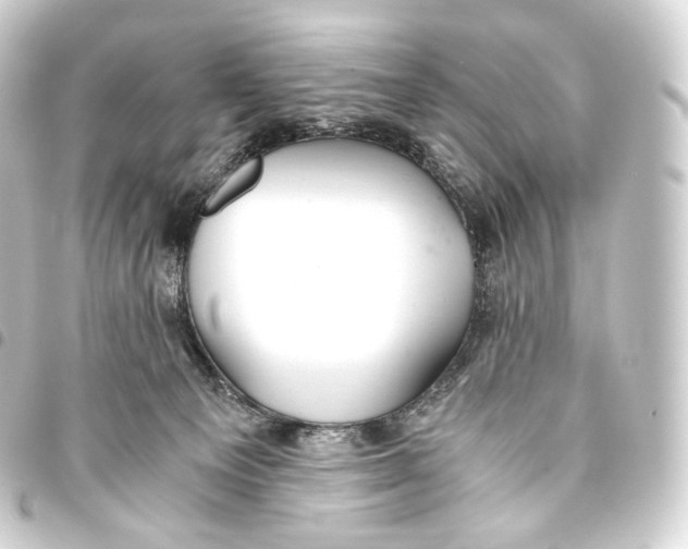 X0000093440129200711021101