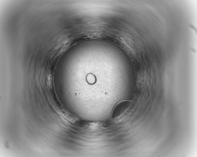 X0000093440130200711021101