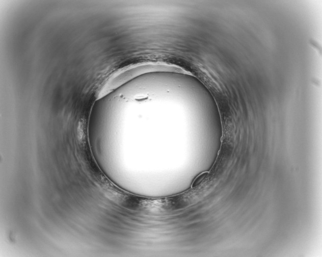 X0000093440131200711021101