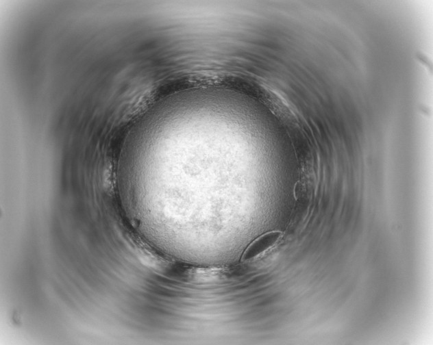 X0000093440134200711021101