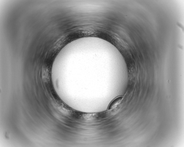 X0000093440136200711021101