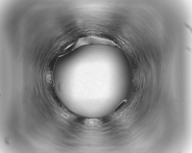 X0000093440137200711021101