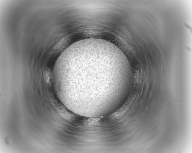 X0000093440138200711021101