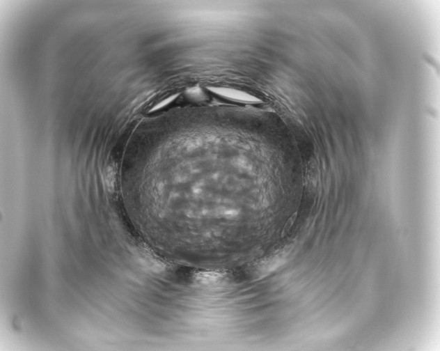 X0000093440139200711021101