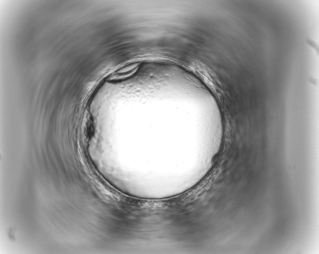 X0000093440145200711021101